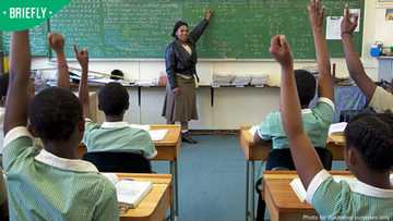 Eastern Cape teacher earned salary for 18 years without teaching a single day
