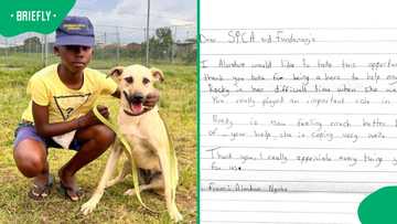 "A beautiful story": KZN boy sends handwritten letter to SPCA and Funda Nenja after saving his dog
