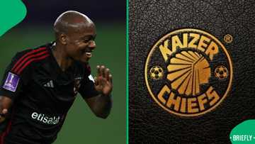 Kaizer Chiefs: Football legend urges Amakhosi to sign Sundowns star and Percy Tau