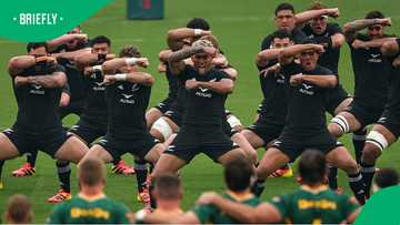 NZ Rugby faces R618 million loss warning as leaked report flags unsustainable model