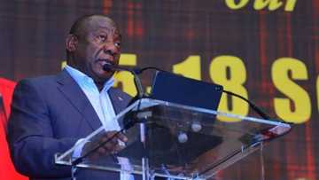 Ramaphosa appoints Economic Advisory Panel to prompt growth in SA