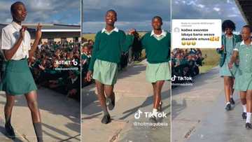 Eastern Cape schoolboys in dresses and skirts parade for students, TikTok of lit school gathering goes viral