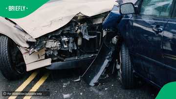 28 killed on Western Cape roads in first week of December