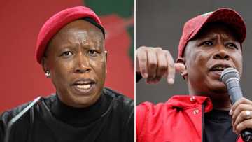 “Sies”: EFF leader Julius Malema slams “influencer” who used his name to scam people