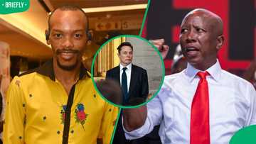 Nota Baloyi sides with Elon Musk in bashing EFF leader Julius Malema