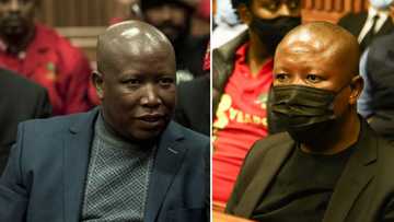 EFF leader Julius Malema is no stranger to being accused of criminality: From assault, defamation to hate speech