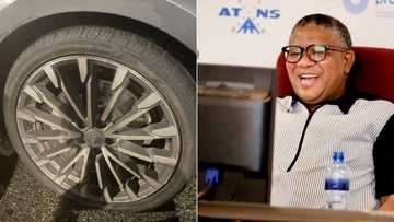 Young man tags Fikile Mbalula online after hitting a pothole, Mzansi gatvol & joins in