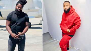 Cassper Nyovest says he wants to fight Big Zulu after knocking out Priddy Ugly at Sun Arena on 1st October, Mzansi unconvinced