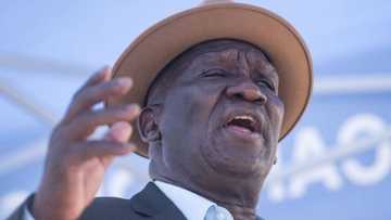 Bheki Cele says families of kidnapped victims prefer private investigators to police, Gauteng cases rise