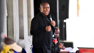 EFF CIC Julius Malema vows to give South Africans land, power, pension grants