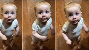 Toddler warms hearts with response he gave to mum during questioning
