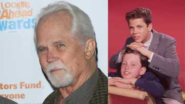 What is Tony Dow's net worth, and what are his sources of income?