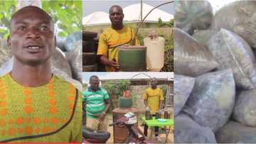 Francis Kantavooro: Genius man turns plastic waste into fuels to power cars and for household use