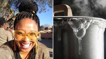Woman shows off Sunday meal she cooked for bae, Mzansi roasts her dish and odd under-seasoned chicken