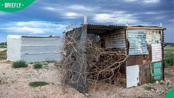 “New way to steal land”: Mzansi reacts to new eviction laws coming to SA in TikTok video