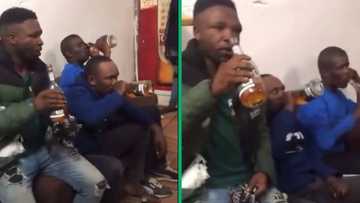 Men who allegedly stole alcohol forced to drink it in viral video, South Africans laughed hysterically