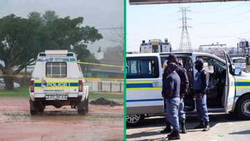 7 die on Limpopo road after a head-on collision with SAPS van, SA mortified as only 1 survives