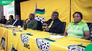 ANC condemns spate of women's murders in Ekurhuleni as SA slams party's response to GBV