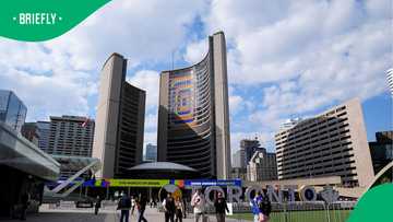 Toronto spends R3.3 million to hand out free World Cup condoms to FIFA fans