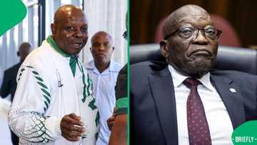 Jacob Zuma blames Dr John Hlope for MK Party legal blunder against Mary Phadi, South Africans amused