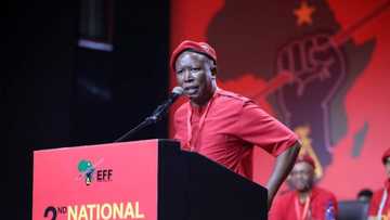 EFF calls on public to comment on quietly-published land reform bill