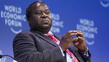 Former Minister Tito Mboweni says basic income grants are not going to fix South Africa's economy