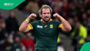 Springbok brothers' prized bull smashes South African record at R1.1m auction