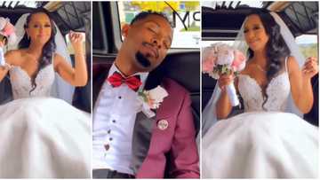 Handsome groom caught sleeping on wedding day, video sparks reactions: “Chairman is knocked out”