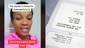 South African employee's R311k payslip gives Mzansi chest pains, professional's high salary is declared winner of TikTok challenge