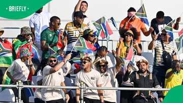 SAFA in turmoil: Former acting CEO arrested in fraud probe