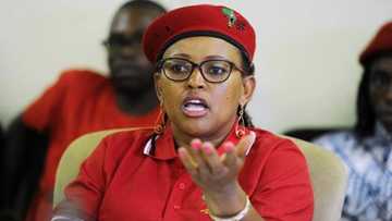 Mandisa Mashego biography: age, education, parents, husband, daughter, photos, EFF and contact details