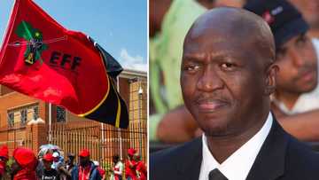 Fana Mokoena says it is “dim-witted” to accuse EFF of causing racial tensions and polarising SA