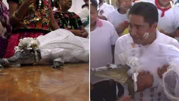 Mexican mayor marries alligator and seals the deal with a kiss, hopes to bring abundance to village