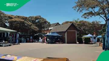 South African lives enchanting life in Zimbabwe's Borrowdale in video