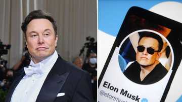 Elon Musk hints at plans to charge commercial Twitter users after $44bn deal