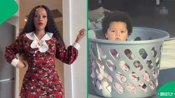 "Baby fever get away": Domestic workers keep baby safe in washing basket while working, SA amused