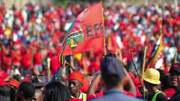 EFF rallies for votes despite being 1 of 502 parties that didn’t divulge funding