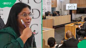 Madlanga Commissioner Sesi Baloyi challenges IDAC's Andrea Johnson over Ad Hoc Committee testimony