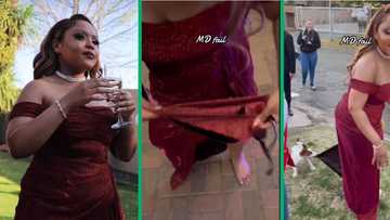 Woman's stunning matric dance dress ruined by playful puppy biting it in TikTok video, SA amused