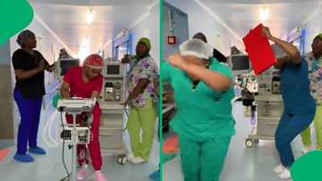 "Healthy working environment": SA amused by hospital staff goofing around in video
