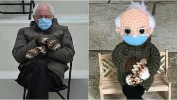 Crochet Artist Turns Bernie Sanders Meme into a Doll, Sells for over R600k