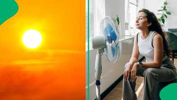 South Africa's heatwave to continue into next week, temperatures could reach close to 40 degrees