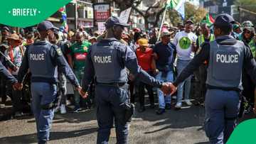 Protesters plead with SAPS members not to throw children in van in viral video