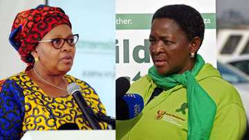 Bathabile Dlamini slams government over its treatment of defence minister