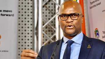 Nathi Mthethwa's Arts Department's proposed R30m orchestra project gets mixed reactions: "Wasting money"