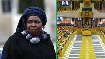 Nkosazana-Dlamini Zuma pens parliament resignation 1 day before ANC's 112 years celebration, SA chimes in