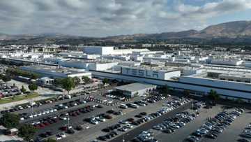 US anti-discrimination agency sues Tesla over 'pervasive' racism