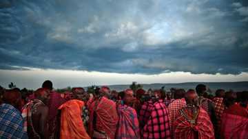 Tanzania frees Maasai after police murder charges dropped