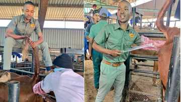 Hebanna: Young farmer shows himself in action but Mzansi asks serious questions