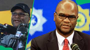 Nathi Mthethwa and the controversies that shaped his political journey